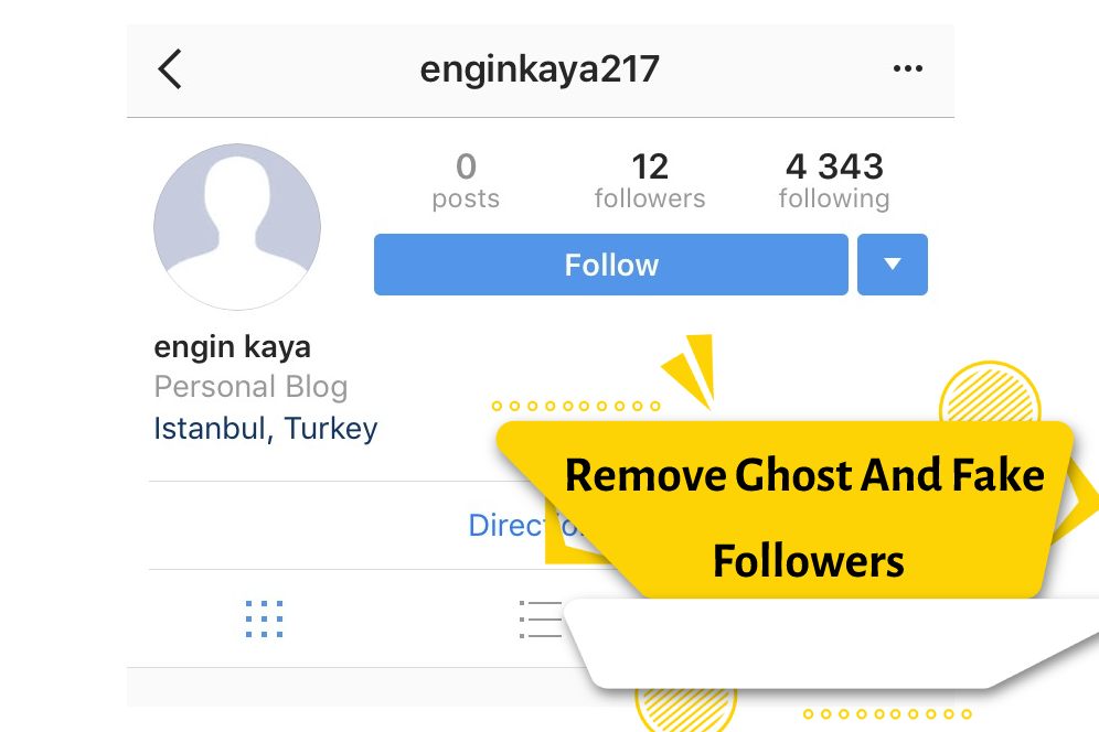 What is the difference between ghost and fake followers?