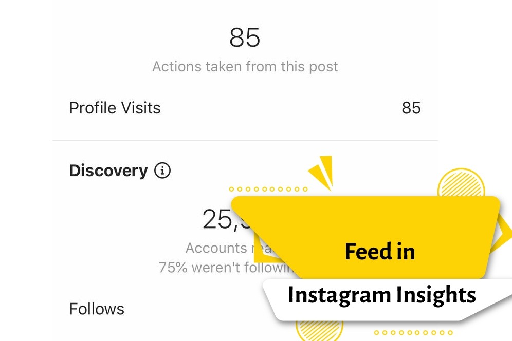 Feed in Instagram Insights