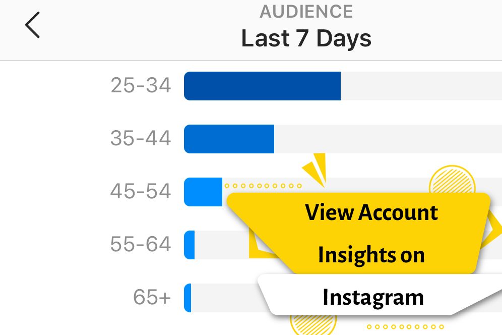 View Account Insights on Instagram